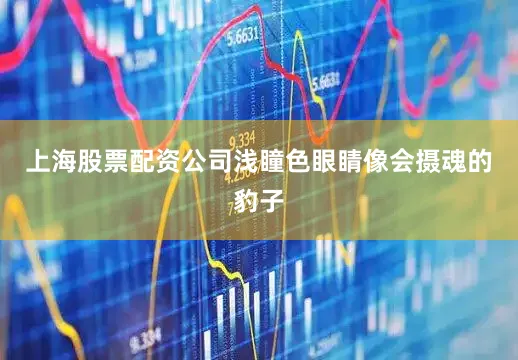 上海股票配资公司浅瞳色眼睛像会摄魂的豹子